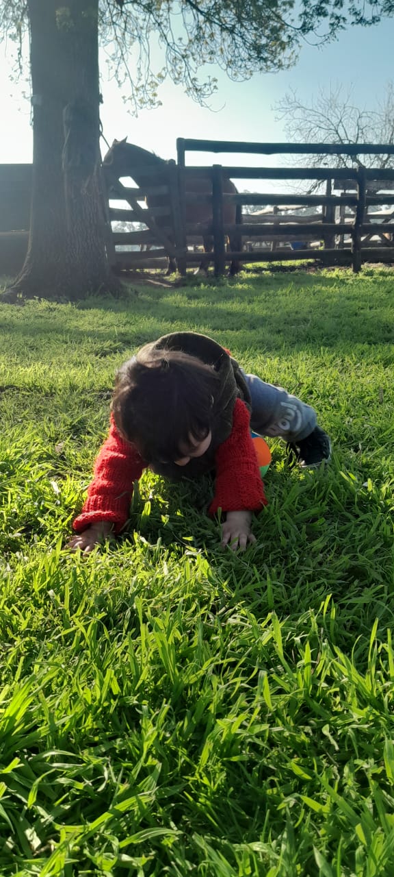 WhatsApp Image 2025-09-07 at 00.20.410.jpeg